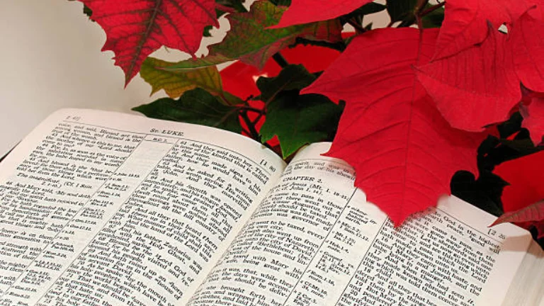 Bible Verse Christmas Messages