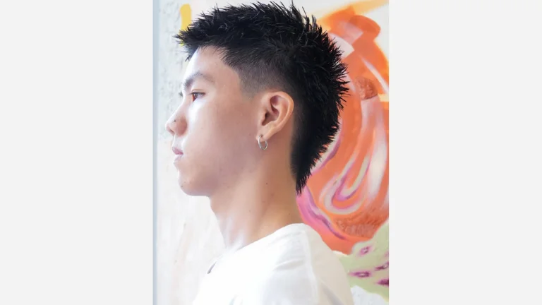 Wolf Cut Fade