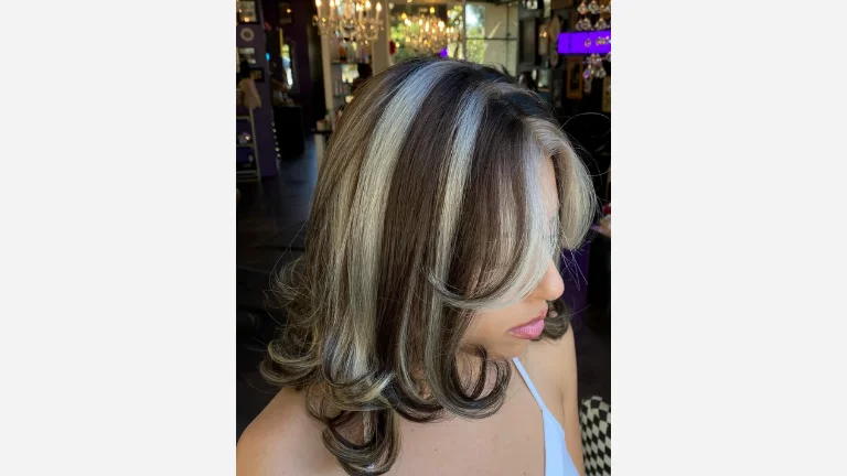 Steel Gray Highlights