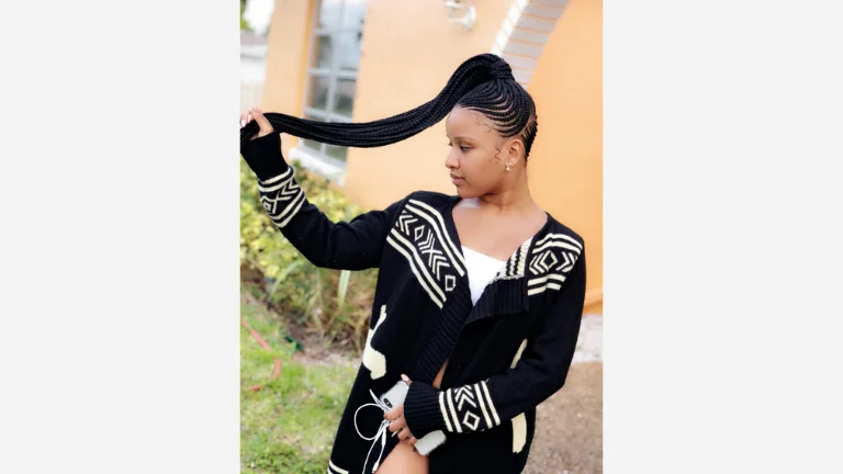 Thin Braids with an Updo