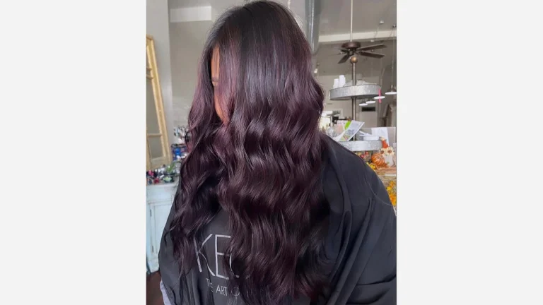 30 Beautiful Burgundy Hair Color Shades 20 Black Hair with Dark Burgundy Highlights
