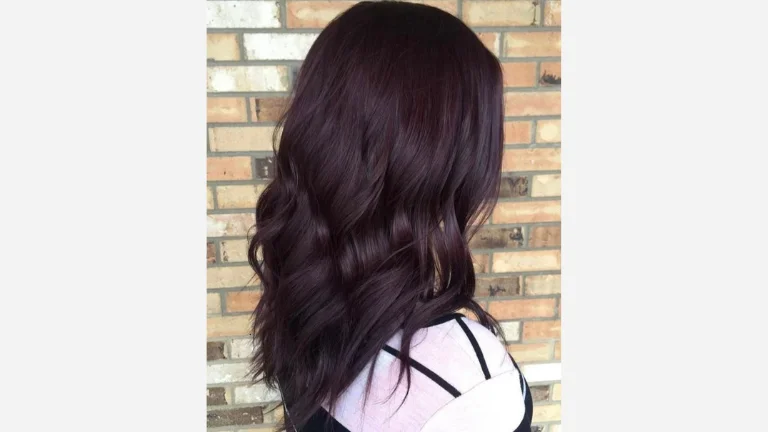 30 Beautiful Burgundy Hair Color Shades 22 Dark Hair with Subtle Burgundy Highlights
